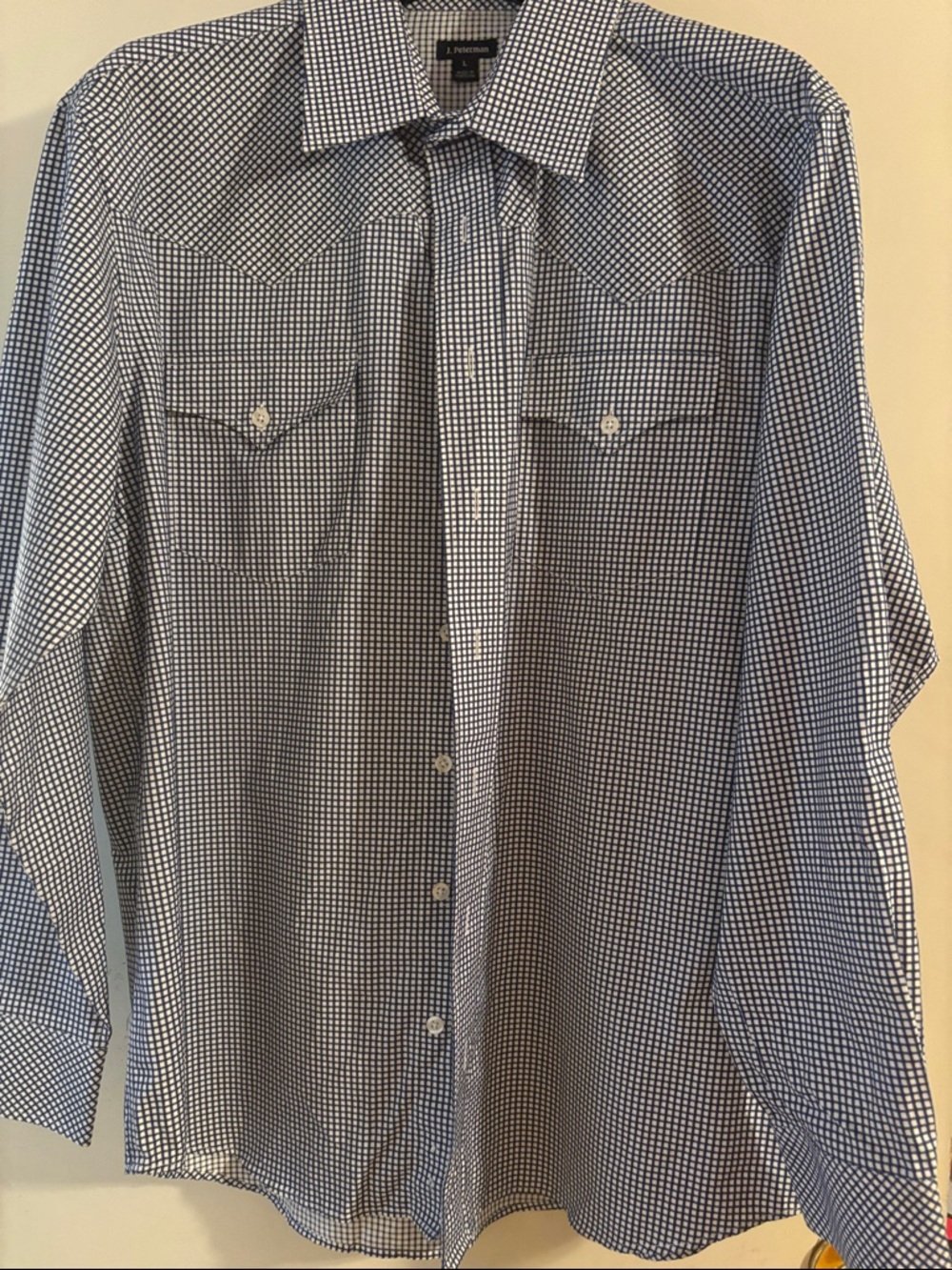 J. Peterman Navy and White Checked Western Button-Down Shirt
